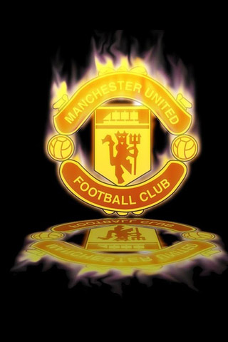 这一现象的 这一现象的